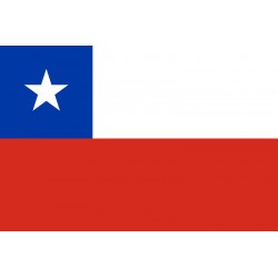 Bandiera Cile 100 X 145