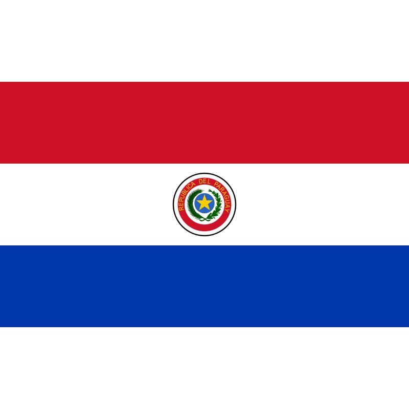 Bandiera Paraguay 100 X 145
