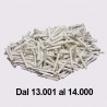 Biglietti Pesca Arrotolati 13001/14000