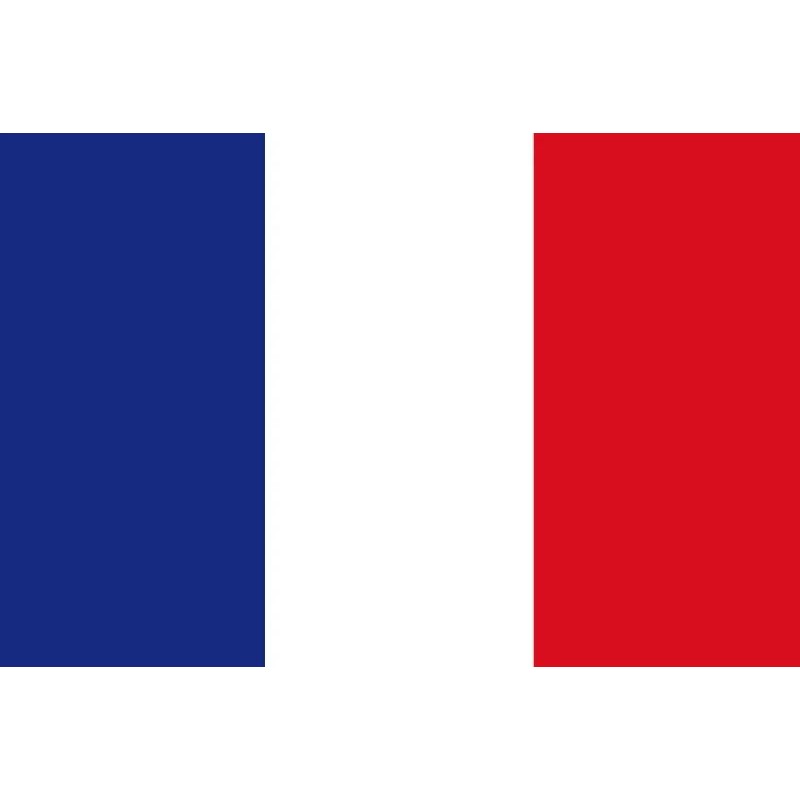 Bandiera Francia 100 X 145