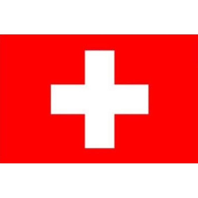 Bandiera Svizzera 100 X 145