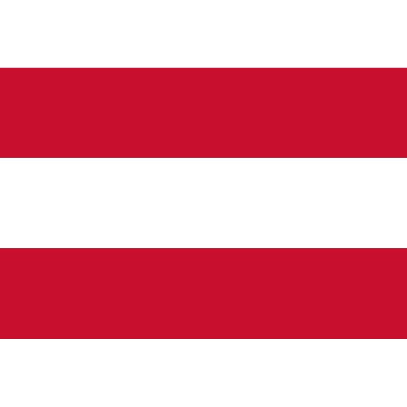 Bandiera Austria 100 X 145