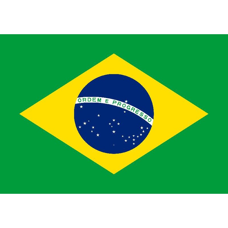 Bandiera Brasile 100 X 145