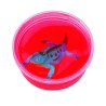 SLIME CRYSTAL EXOTIC REPTILE