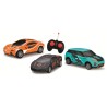 Auto Racing Radiocomandata, 6 modelli assortiti - 11651