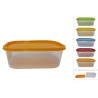 Contenitore di plastica trasparente rettangolare 1250 ml con coperchio in 4 colori assortiti