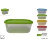 Contenitore Trasparente Rettangolare con Coperchio 2500 ml, colori assortiti