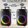 SPEAKER WIRELLESS 50w CON MICROFONO KARAOKE PARTY