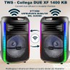 SPEAKER WIRELESS 100w CON MICROFONO, KARAOKE E PARTY