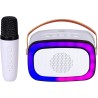 MINI PARTY SPEAKER WI-FI 10w KARAOKE CON MICROFONO SENZA FILI