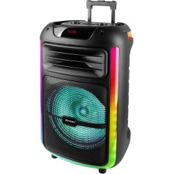 SPEAKER WIRELESS 100w CON MICROFONO, KARAOKE E PARTY