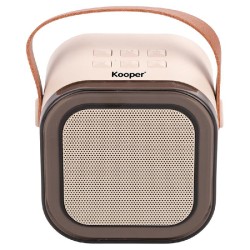 MINI CASSA KARAOKE PORTATILE LUCE RGB CON 2 MICOFONI WIRELESS